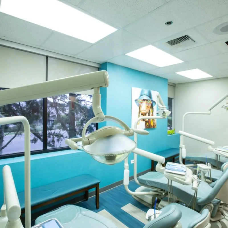 magic smiles dentistry family   4 800x800 - Our Office